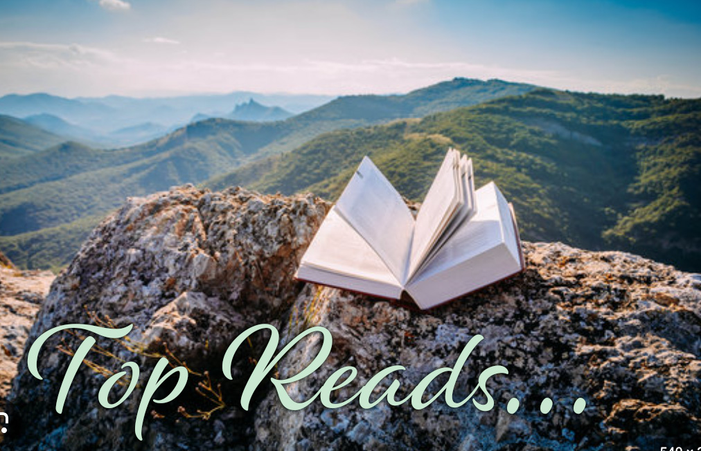 BookToScreenOnX's tweet image. How about a last Thursday #writerslift of the year? Add your books and links below to share with #Booklovers - show them their greatest read of 2023 is yet to come!