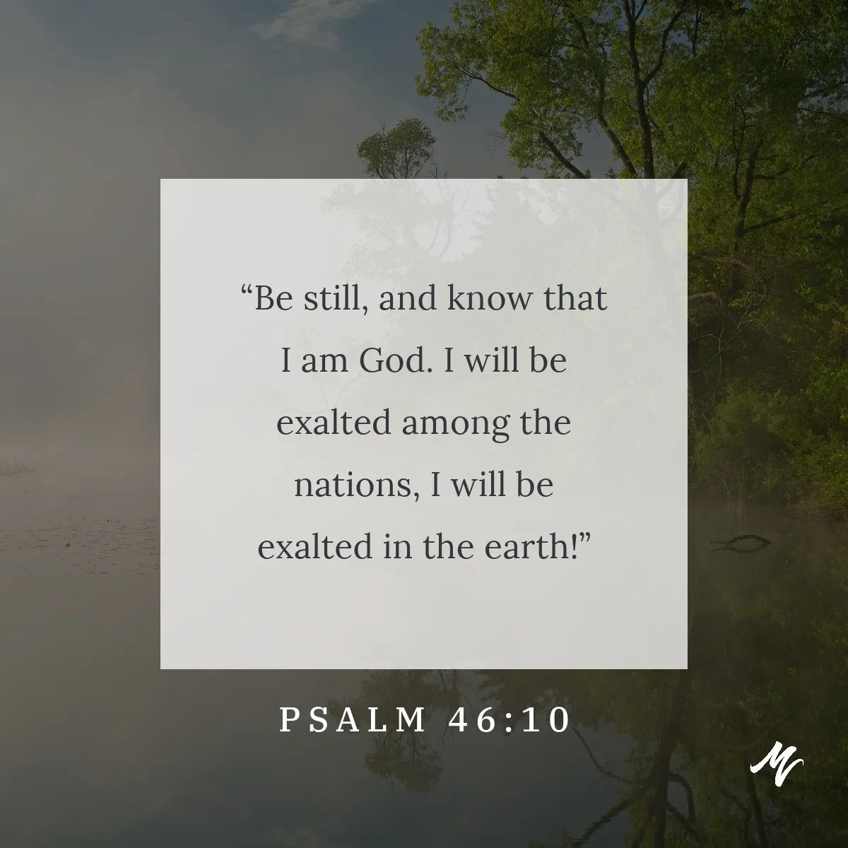 Mount Vernon Baptist Church tweet media