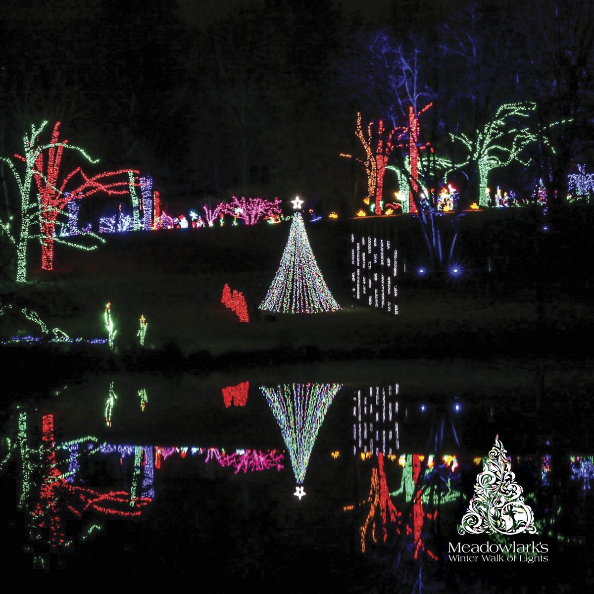 Savor the moments between Christmas &amp; New Year's at Meadowlark's Winter Walk of Lights! ✨🎄 Take a leisurely walk through the illuminated gardens, experience the post-Christmas magic, &amp; bid farewell to the year with enchanting memories. 🚶‍♂️❄️ 

Tickets: ow.ly/4VBX50Ql226
