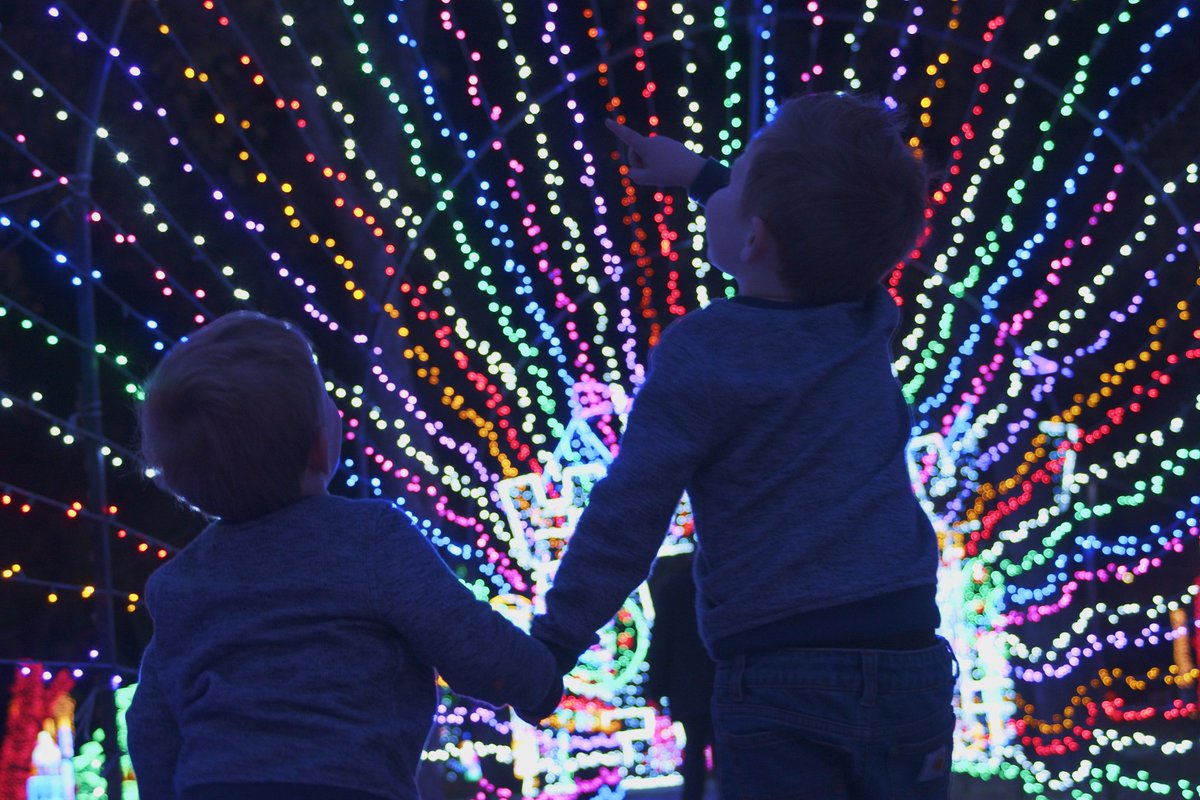 Prairie Lights tweet media