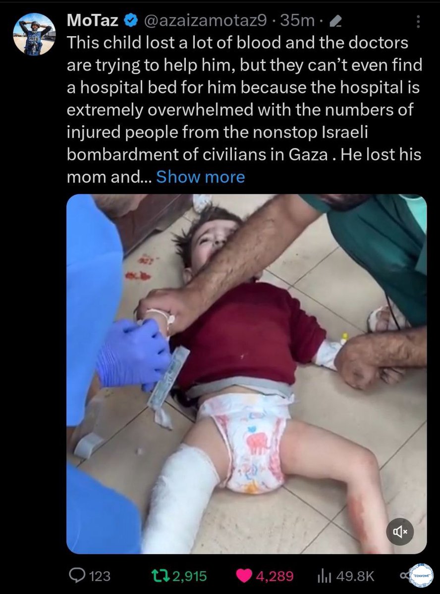 Ayun 🇵🇸 tweet media