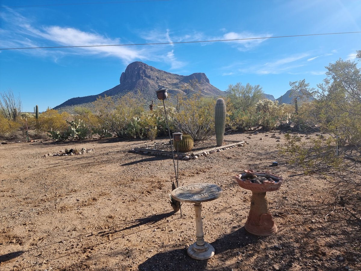 On Tuesday we travelled to Tucson via Casa Grande national.  There aas Mexican for dinner and then we arrived at our tiny house right on the edge of Saguaro National park.  #teddybear #travel #bigjohnusa