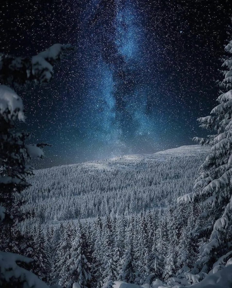 torarelaxtime's tweet image. Beautiful winter night.

#NaturePhotography 
#WinterNight 
#MilkyWay