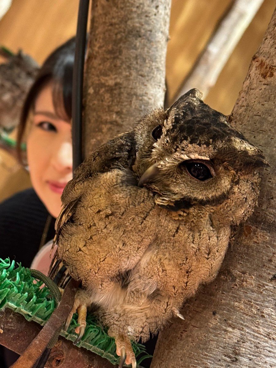 m_crew14's tweet photo. よめといきもの https://t.co/9UpxZ3w1W2