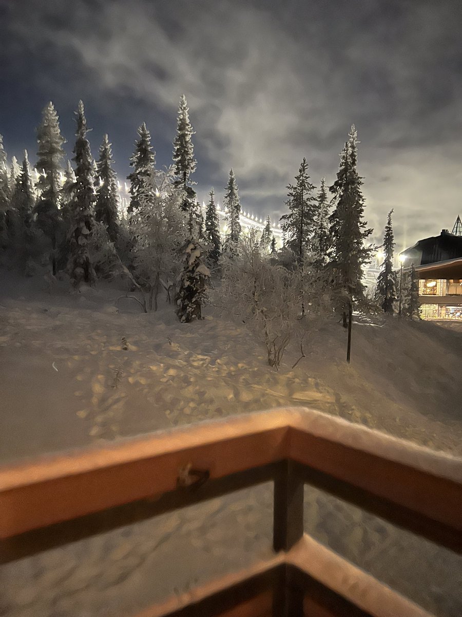 vale_lenarduzzi's tweet image. #Yllas #finland