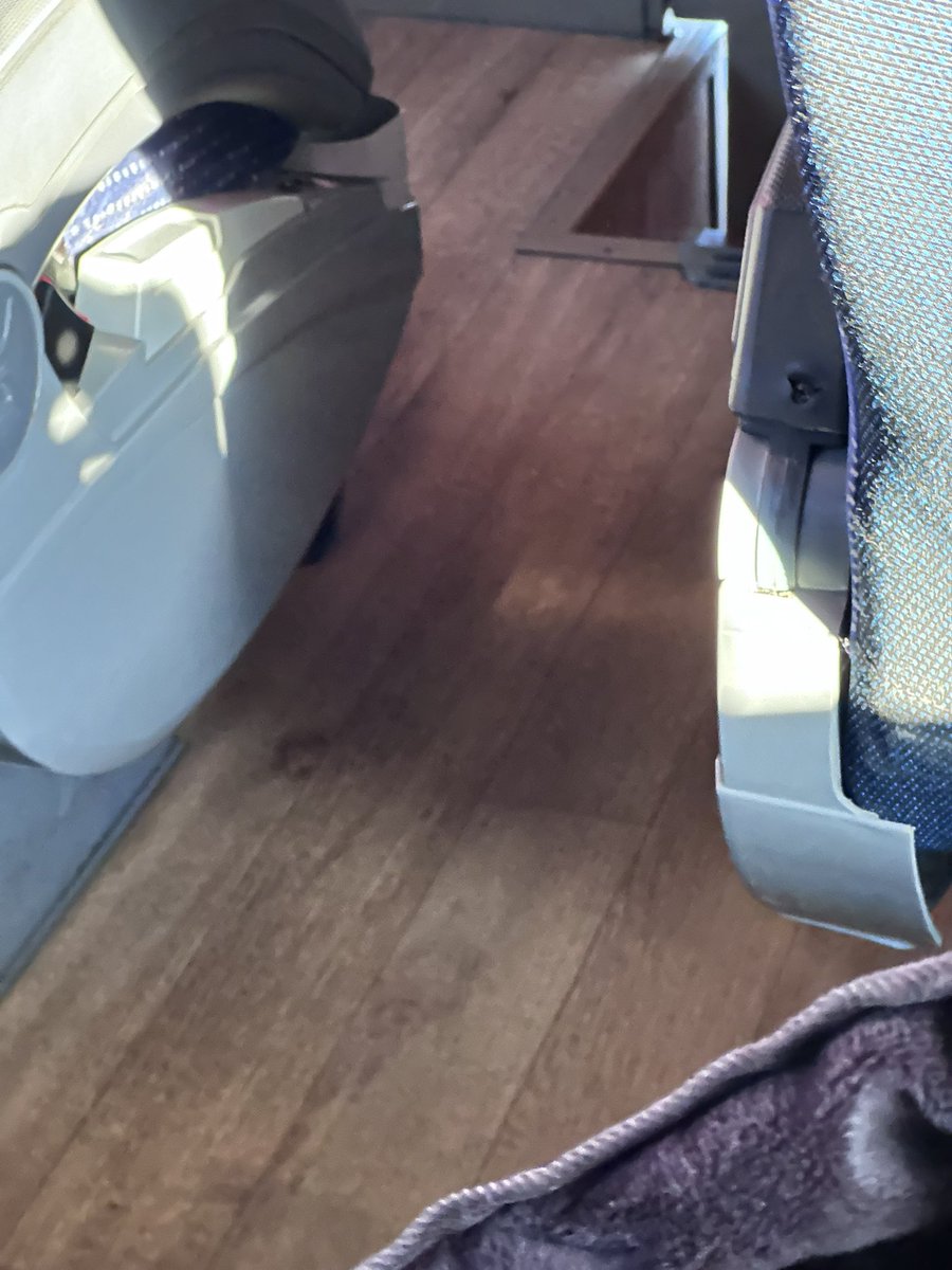 CarlaPonc's tweet photo. No sé como reclinar el asiento del autobús y pues me da mucha pena preguntarle a alguien jaja 🥲 https://t.co/USEEcOjTYn