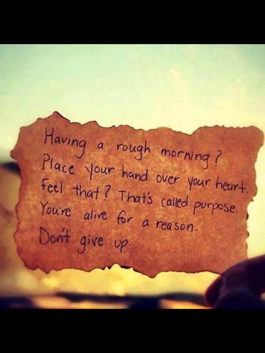 Roy Garcia tweet media