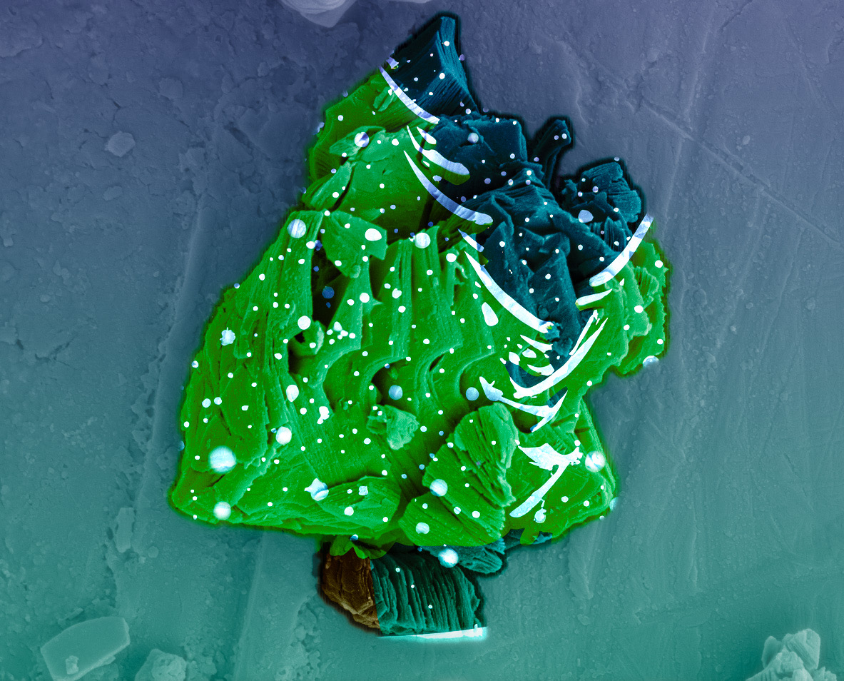 #MXene Christmas Tree by Dr. Anupma Thakur and Nithin Chandran BS, Purdue University. Multilayered titanium carbide MXene visualized as snow-kissed Christmas tree, emerging from selective etching of aluminum layers in the Ti3AlC2 MAX phase. #MaterialsScience #ArtMeetsScience