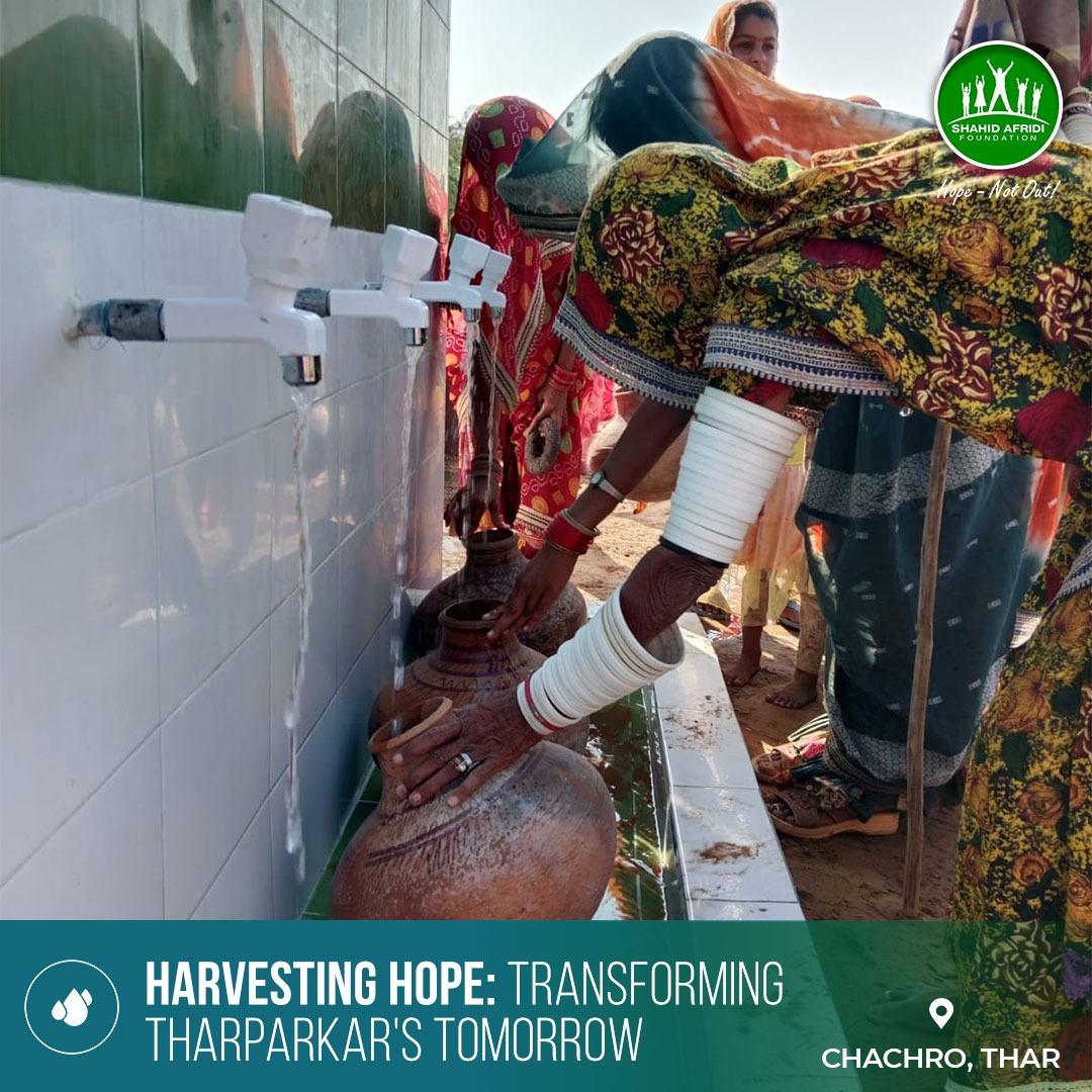 SAFoundationN's tweet photo. Continuing the #HopeNotOut mission with #SAFwater! Gratitude to our visionary #RehabilitatingDreams US Tour Donors for making waves in Tharparkar. This initiative will benefit at least 250 households, significantly enriching the landscape in the surrounding area. https://t.co/LyxckrZosG