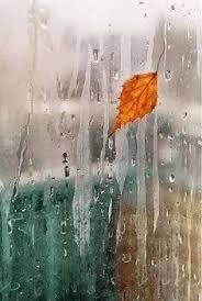 SustentoDigital's tweet photo. Buenos días 

Haz lo correcto, no lo fácil..

Recuerda : 
La vida es bella..!

Será #Clima nublado #CdValles #SanLuis #Tampico https://t.co/fbti9d4rCE