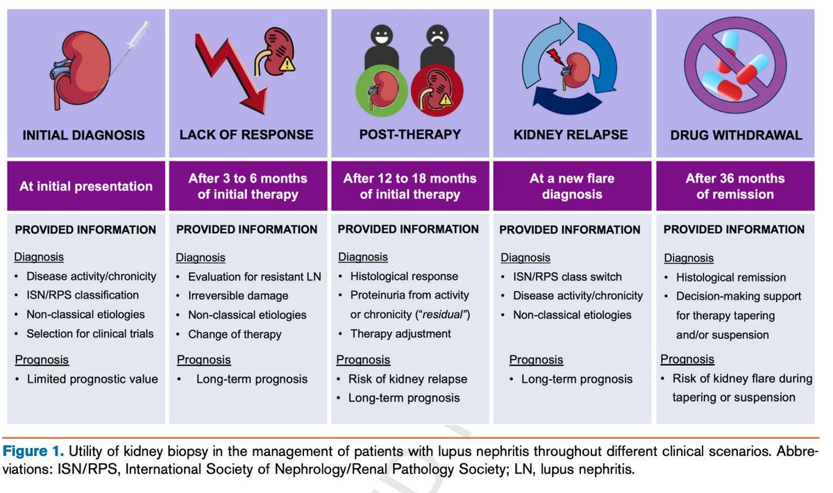 Kidney Biopsy in Management of Lupus Nephritis: A Case-Based Narrative Review buff.ly/4arRHFs
