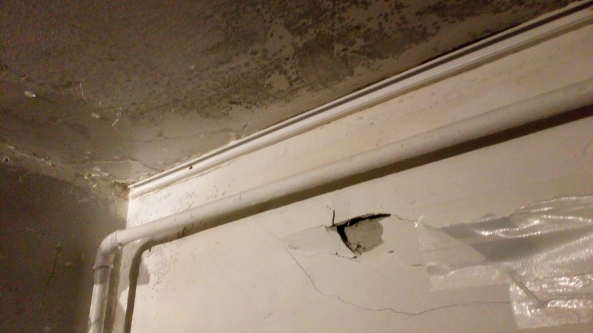 Surrounded by mould for the #christmasseason in #iveaghhouse when will <a href="/YourGuinness/">Guinness Partnership</a> actually take this matter seriously. This can not go on #anymore