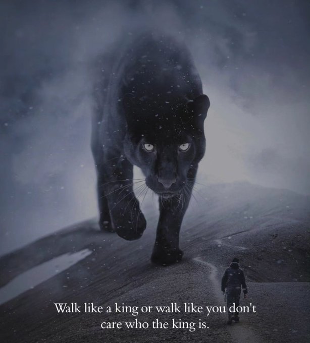 9 Powerful Truths About Life: 

1.