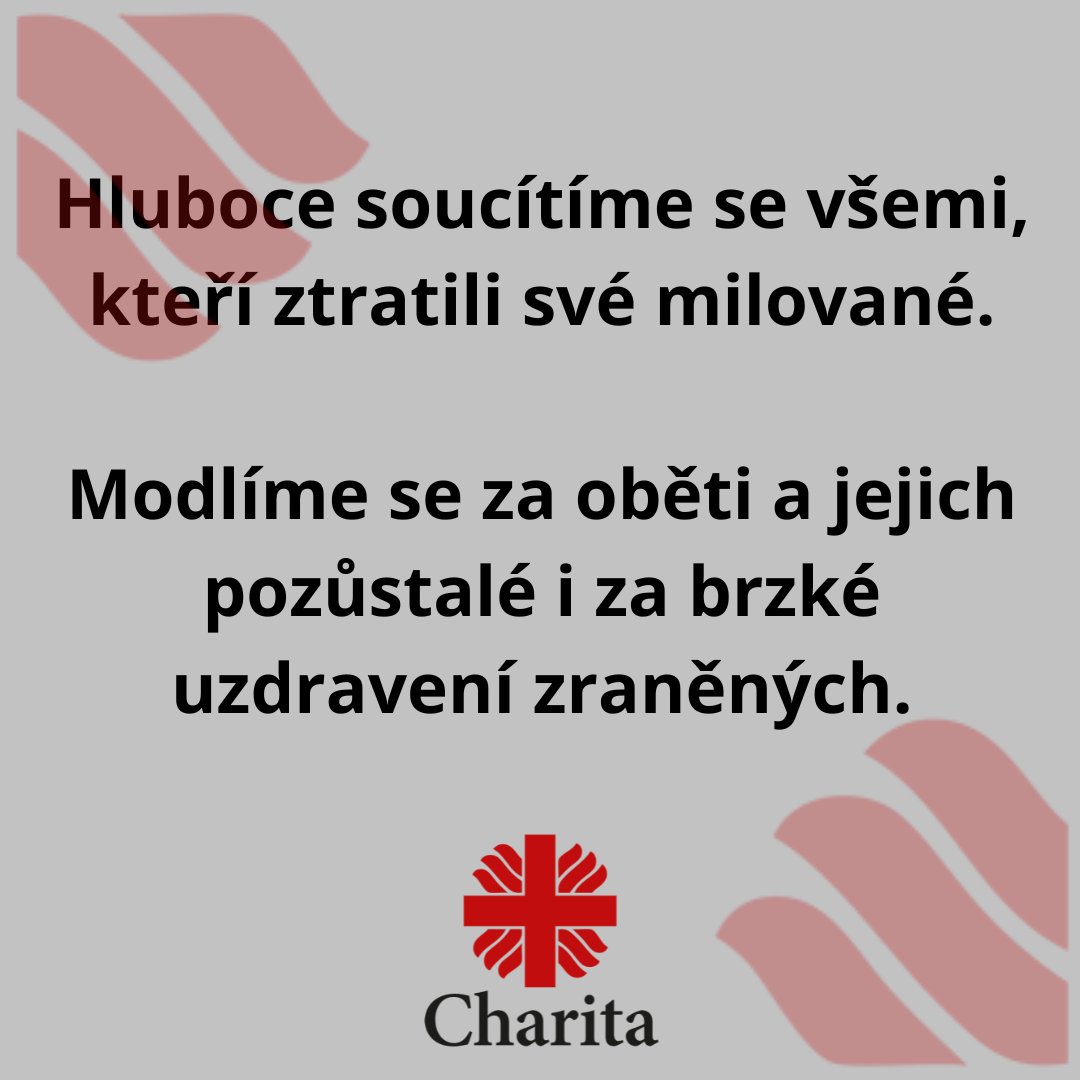 Diecézní charita Litoměřice tweet media