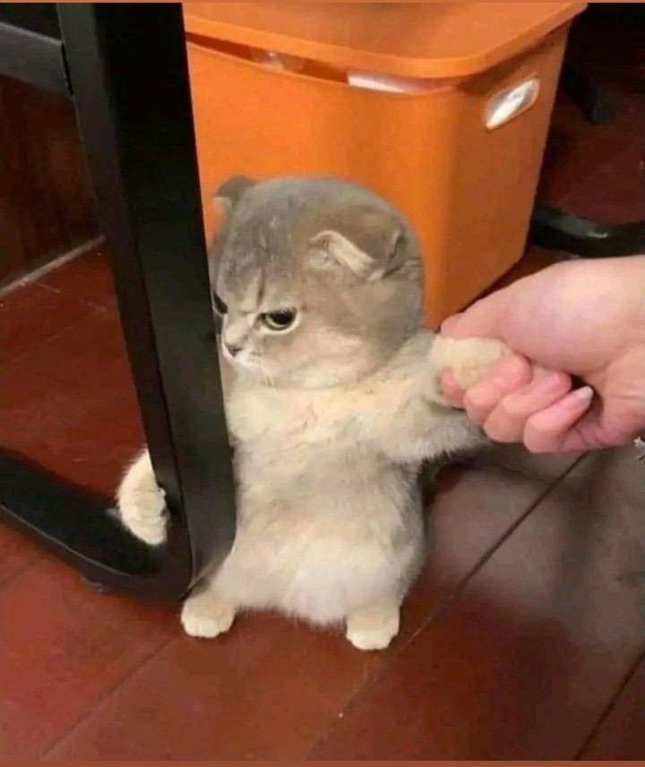 продюсер. (@superhypetiktok) on Twitter photo 