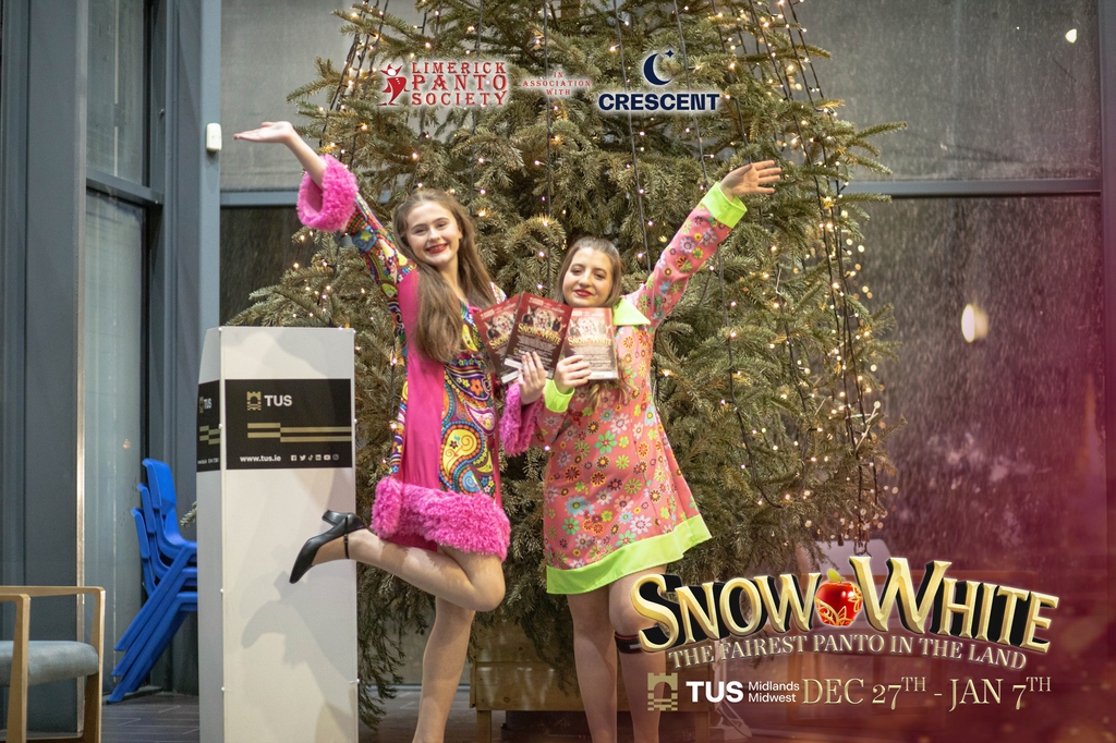 Limerick Panto Society tweet media