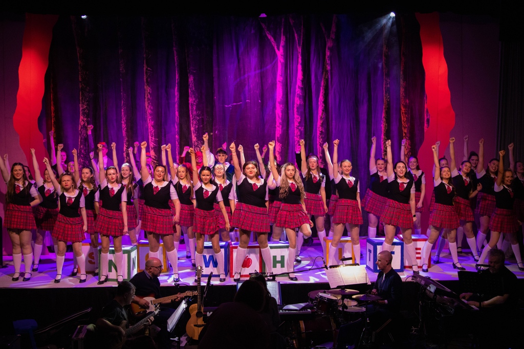 Limerick Panto Society tweet media