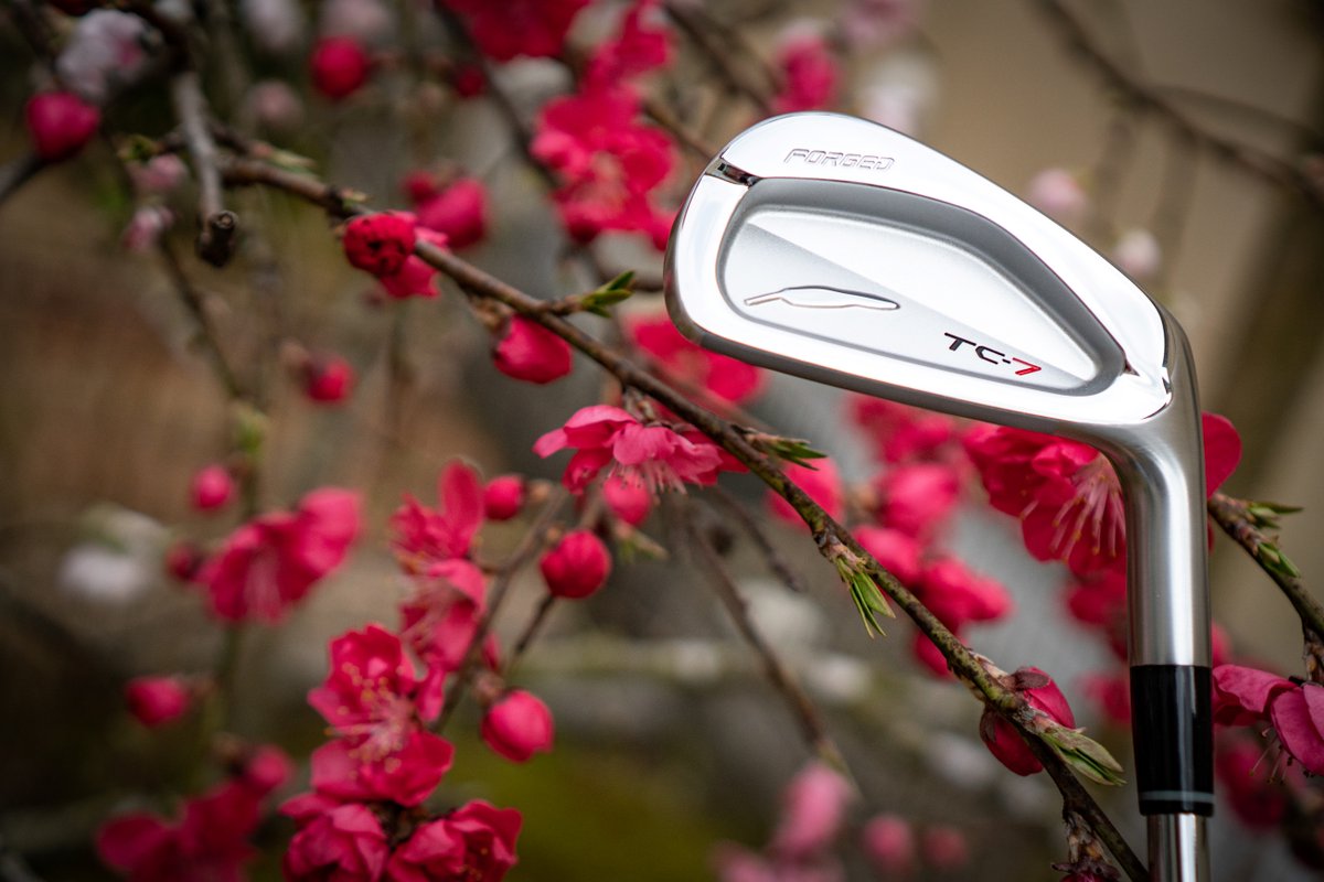 Fourteengolf's tweet photo. The TC-7 features an undercut cavity back design producing extreme accuracy and consistency.

Also just look at it.

#golf #fourteengolf #FOURTEEN #functionalbeauty #tc7 https://t.co/Qrz413q2jG