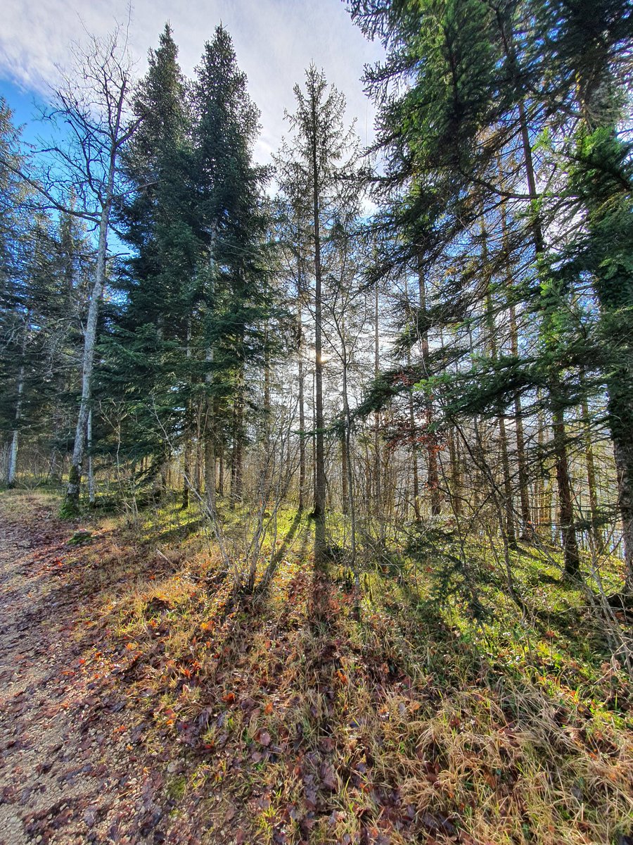 LaFrancematuer's tweet photo. J'ai été récemment au #LacDeVouglans. La nature est magnifique en France 🤩 https://t.co/sCy39ET4za