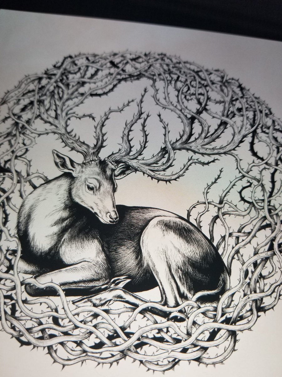 「Took a break from drawing by drawing som」|💀🐺🌱ArtofMaquenda🍄👹🩸のイラスト