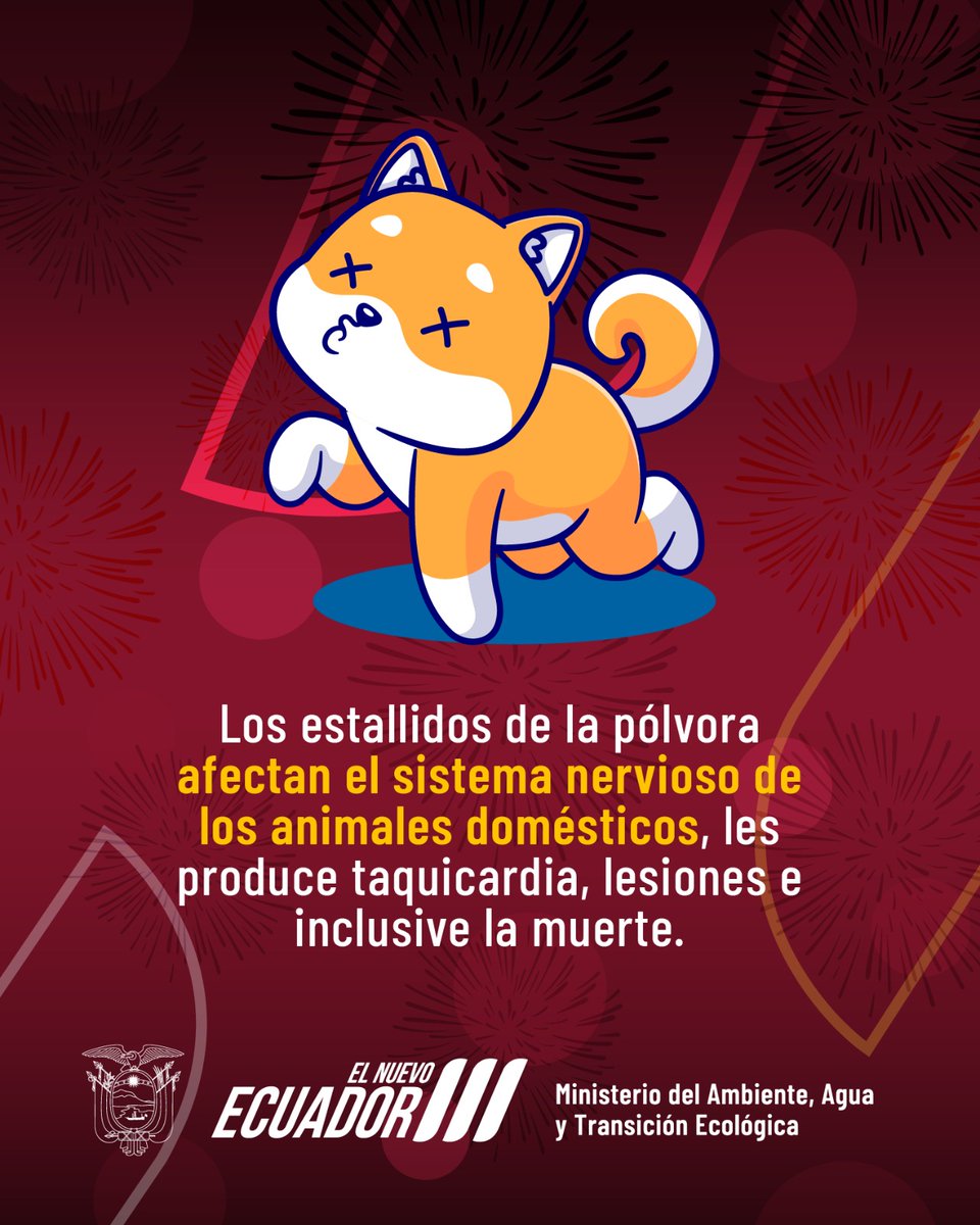 parquegalapagos's tweet photo. #FiestasSinPirotecnia   | Precautelemos   la integridad de nuestros animales domésticos y silvestres. https://t.co/elrNAnIqxA