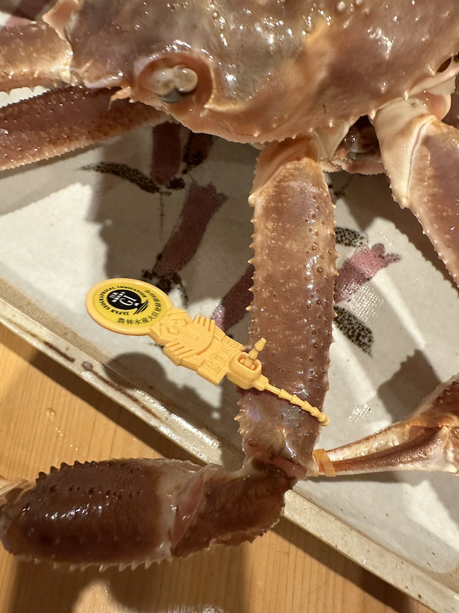 今年一年突っ走りました！！！
松葉蟹と越前蟹🦀🦀🦀