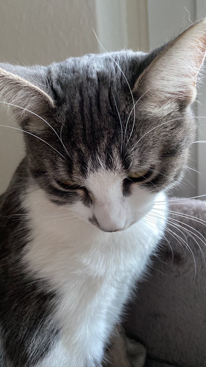 Tim Fischer (@timfischersc) on Twitter photo 