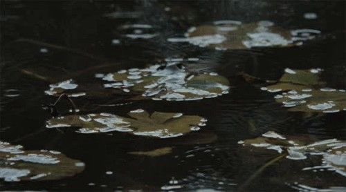 𝕵𝖆𝖓𝖊 (@greendreamvibes) on Twitter photo 