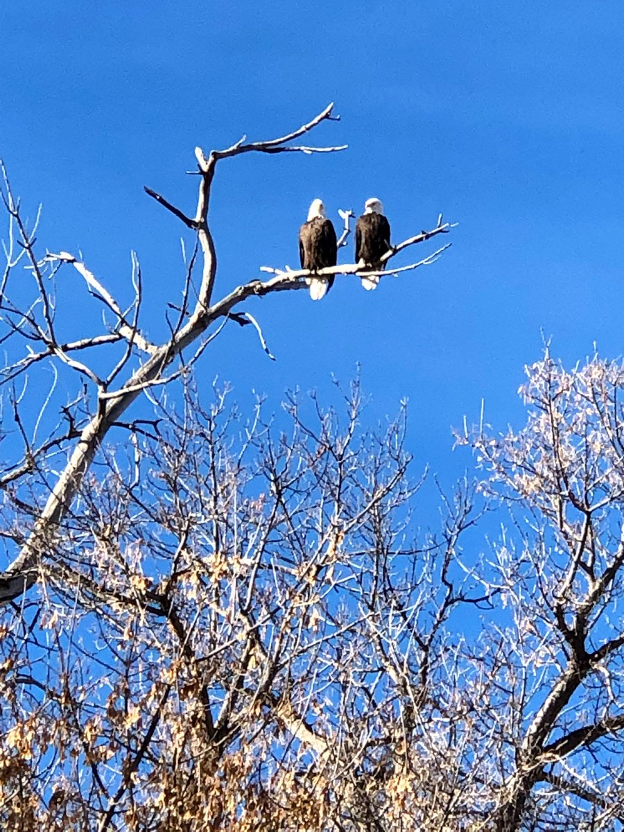 spinnersmedia's tweet photo. Double Eagle 🦅 🦅 https://t.co/P1PqFnrseb