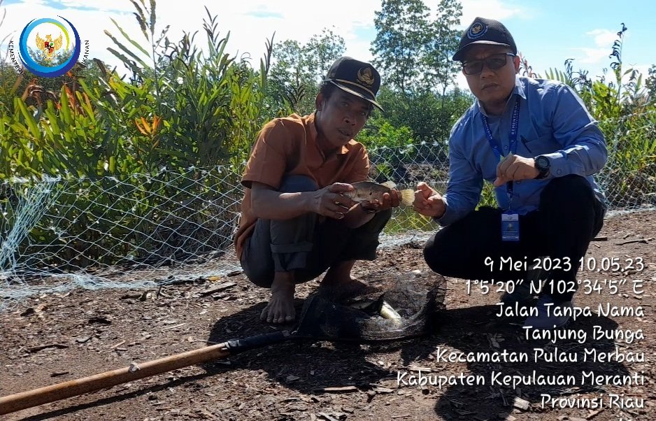 Heru Maruli tweet media