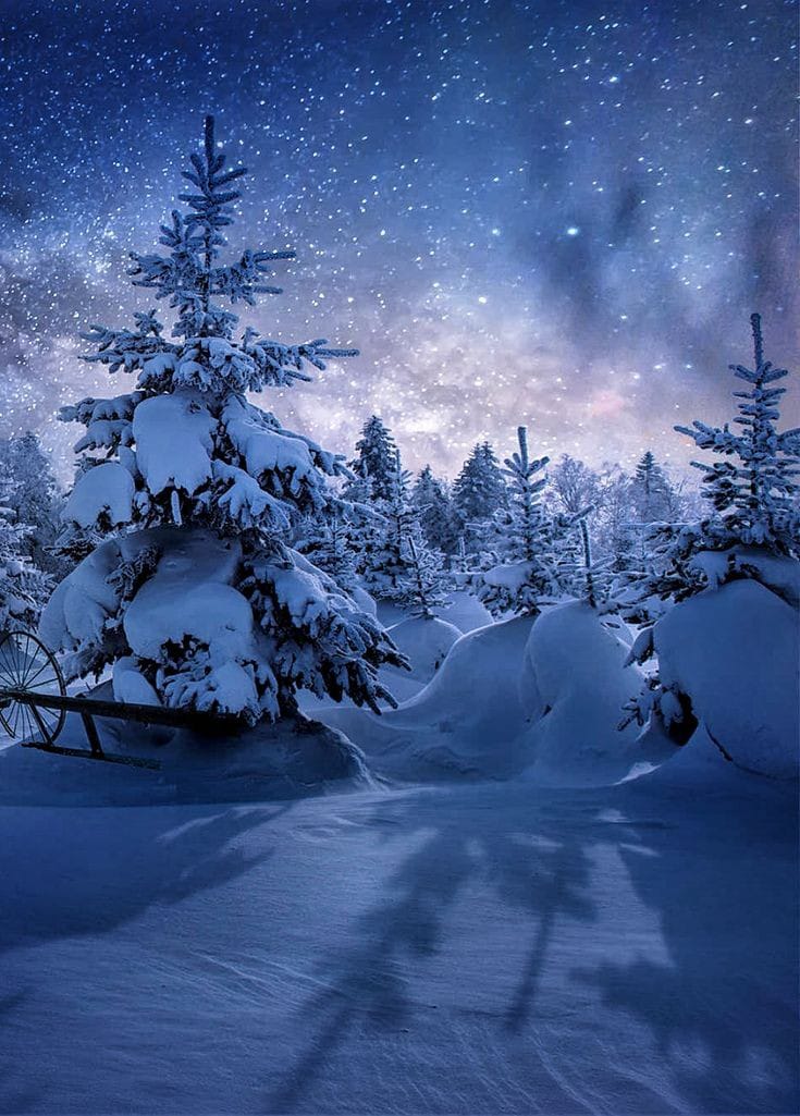 Good night friends have a sweet dreams 😘😘