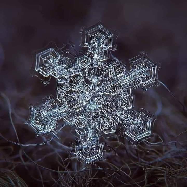 nimyeolmae's tweet photo. "Variety of snowflakes spotted under a microscope. Every snowflake is unique and are all hexagonally shaped"

EXO CATCH IT your next winter album logo @weareoneEXO https://t.co/dEUpT9vQQP