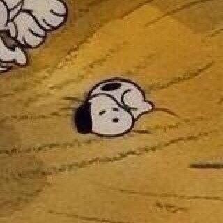 DailySnoopys's tweet image. baby snoopy