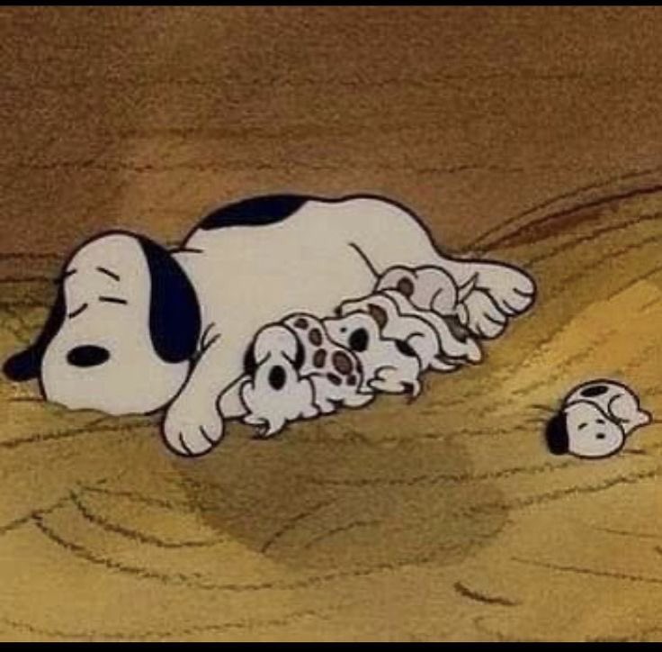 DailySnoopys's tweet image. baby snoopy