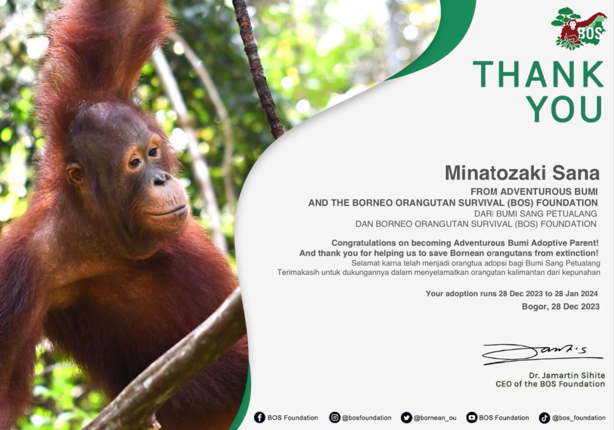 💜HAPPY SANA'S DAY💜

To celebrate Sana's birthday, i decided to adopt 4 orangutans named Baimah, Monita, Taymur, and Bumi under Minatozaki Sana name through <a href="/bornean_OU/">BOS Foundation</a> 

#사나의_27번째_겨울이야기 
#SharmingSanaDay
<a href="/JYPETWICE/">TWICE</a>