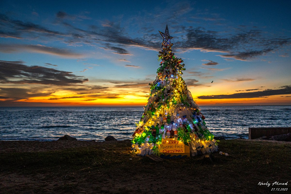nazly's tweet photo. For the 5th time @PearlProtectors and it's amazing set of volunteers have constructed this Christmas Tree using PET bottles to raise awareness about the challenges that marine environments face due to plastic pollution. #SayNOtoPlastic 🎄🌞

📍 Wellawatte Beach, Colombo. #lka 🇱🇰 https://t.co/S51uD9EgPV
