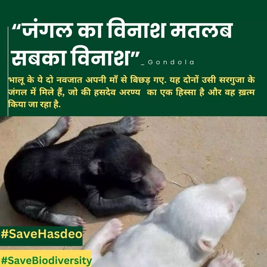 kachlam_renu's tweet photo. पेड़-पौधे, जीव-जंतु का विनाश हो रहा है और देश-विदेश में COP-28, ग्रीन हाउस कम करने के लिए सम्मेलन हो रहा लेकिन उसका कोई भी प्रभाव दिख नहीं रहा और जबरदस्ती का ढोंग दिखा रहे की 2070 तक 0 कार्बन उत्सर्जन करेंगे,ग्रीन हाउस प्रभाव कम करेंगे😔
#हसदेव_बचाओ_आदिवासी_बचाओ @ChhattisgarhCMO https://t.co/9mtNgdiqhN