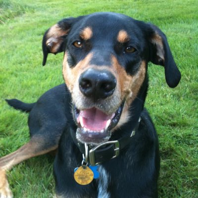 Lsquared1959's tweet photo. #NewProfilePic https://t.co/5jElNTdExe