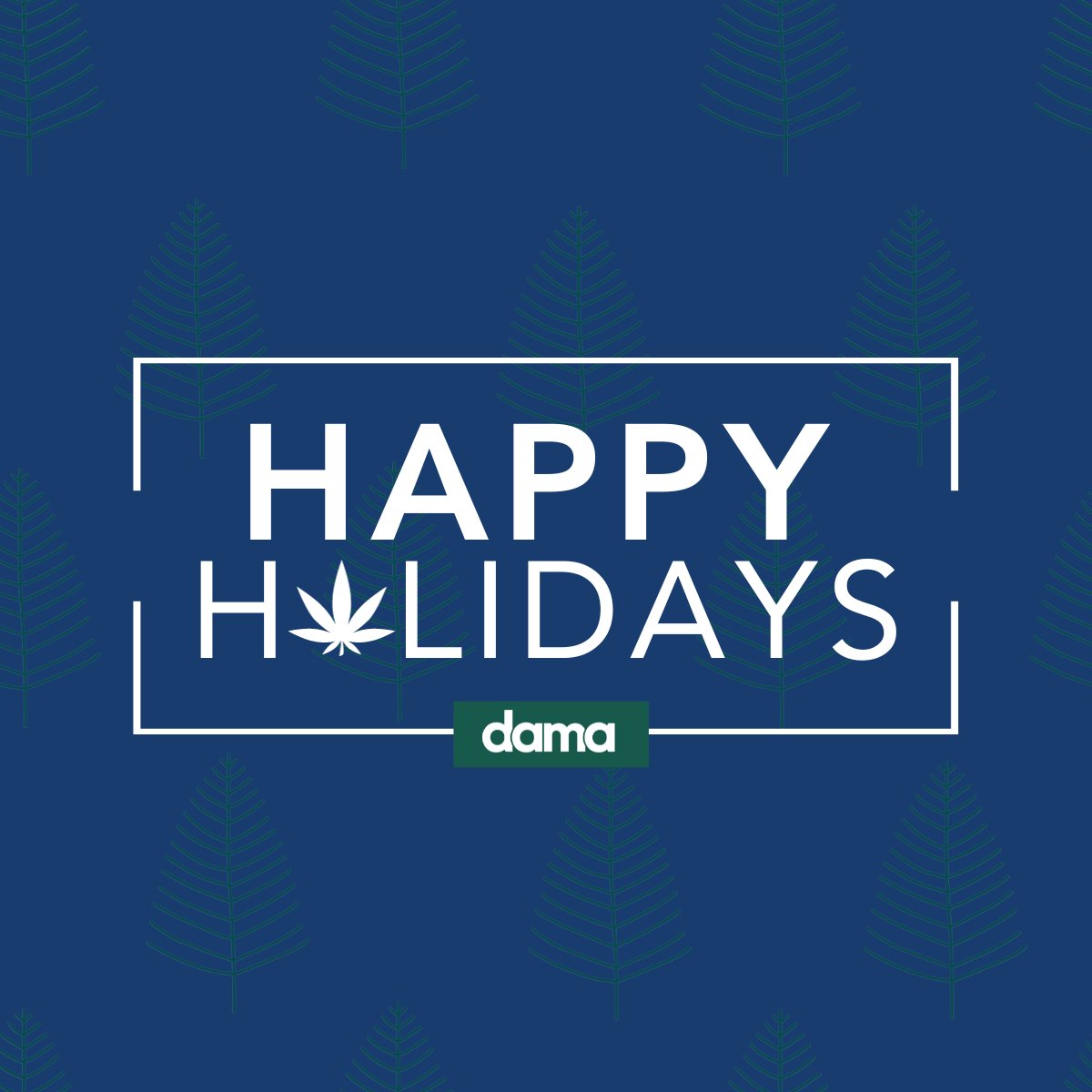 Dama Business Solutions tweet media