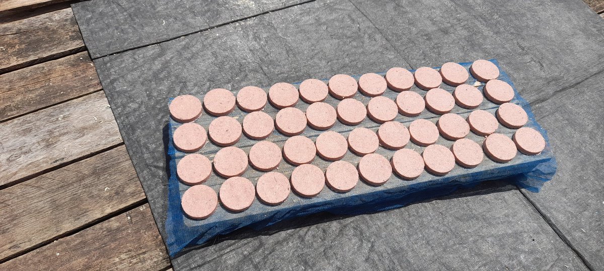 Heru Maruli tweet media