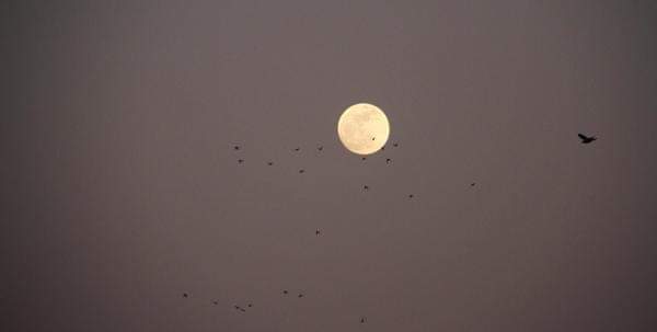 કેટલીય યાદોને સમેટીને ઉગ્યો 2023નો છેલ્લો પૂર્ણ ચન્દ્રમા....
<a href="/LakhmanJot55205/">Lakhman Jotva</a> 
<a href="/ValaDevi/">Ahir Devi Vala</a> 
<a href="/ParkZhieun_ovo/">Anna</a> 
<a href="/ZinzalaTaruna/">Taruna zinzala</a>