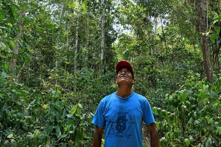 A study shows that forests in 15 tropical countries across Africa, Asia and Latin America managed by #IndigenousPeoples and local communities are associated with improved outcomes for #CarbonStorage, biodiversity & forest livelihoods

Via @MongabayOrg ⬇️
buff.ly/3TrQLel