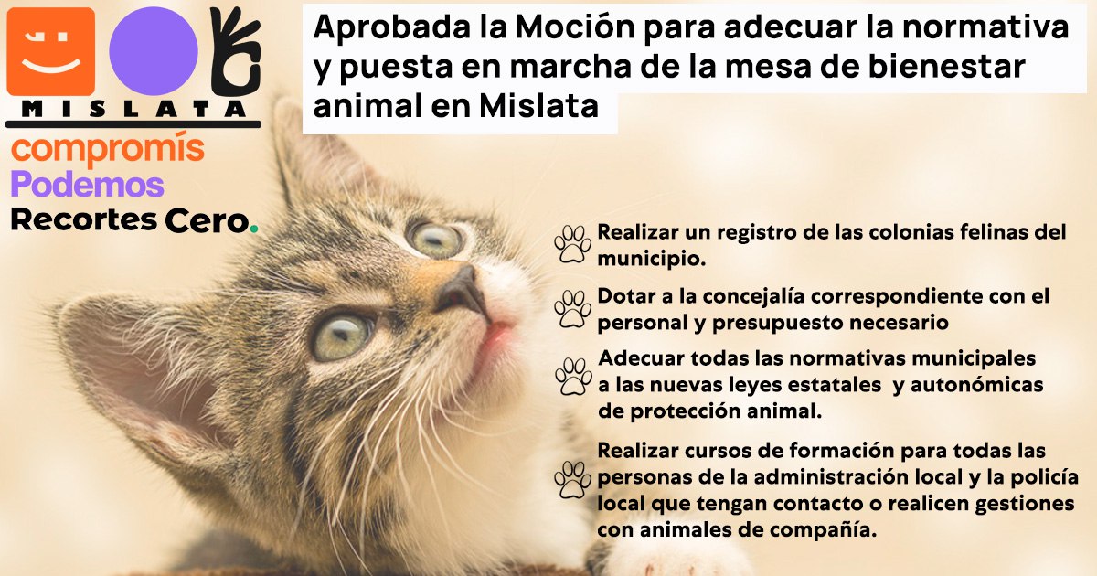 PodemosMislata's tweet photo. Hoy se ha aprobado la moción de @CompromisMis @PodemosMislata y @RecortesCero  para adecuar la normativa de Mislata y la puesta en marcha de la mesa de bienestar con estos acuerdos: https://t.co/oP9wLMYG9i