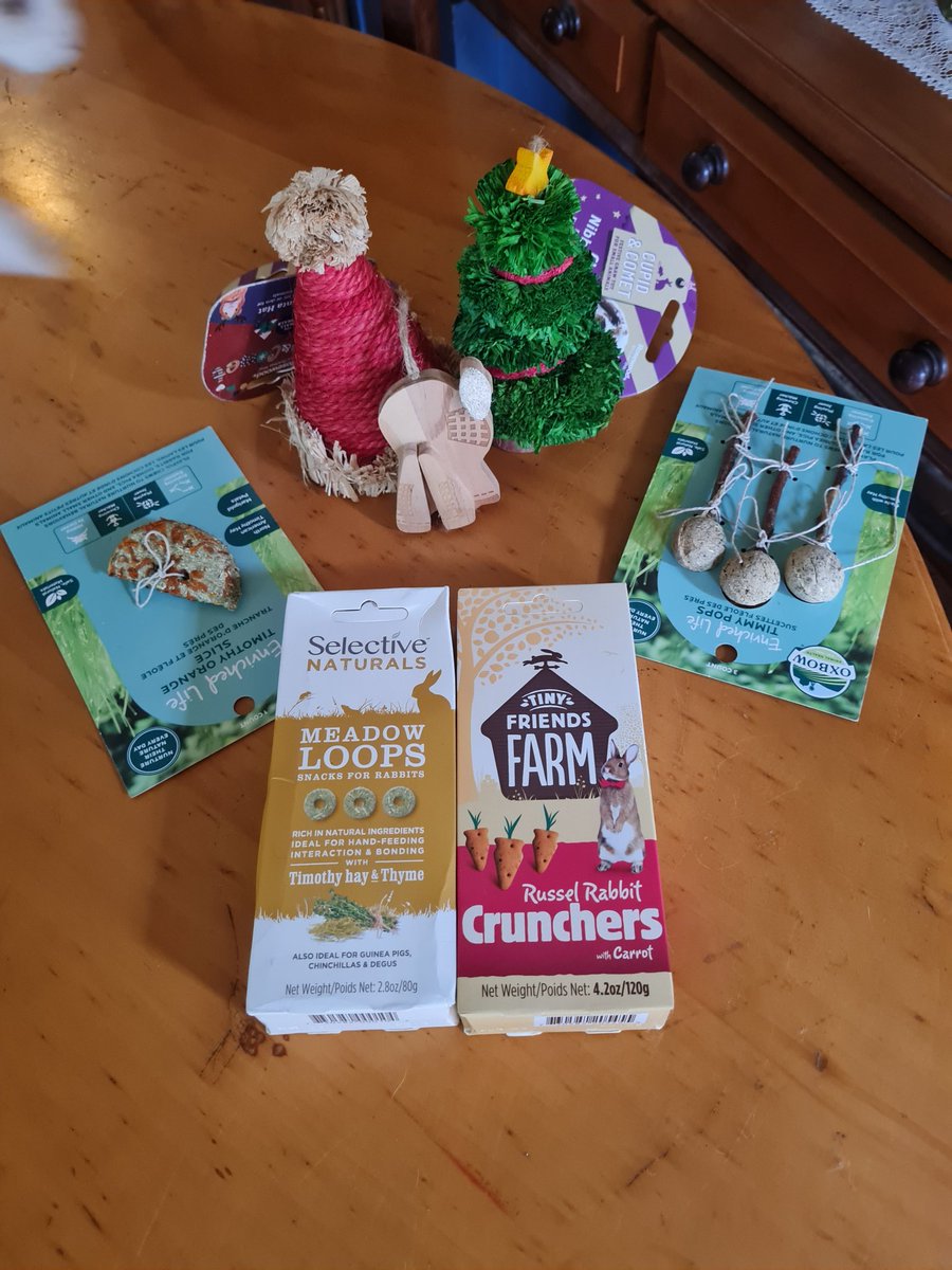 LAJ2801's tweet photo. @DorianGypsy We are such lucky buns, look what arrived last night #23bss ❤️ mum says we can't have all the treats at once 😫 but we're going to have so much fun. Will send more pics soon. That's Cleo, she was inspecting, but we let her know they're ours! Thank you so much pals ☺️ https://t.co/CtPeLNSpXt