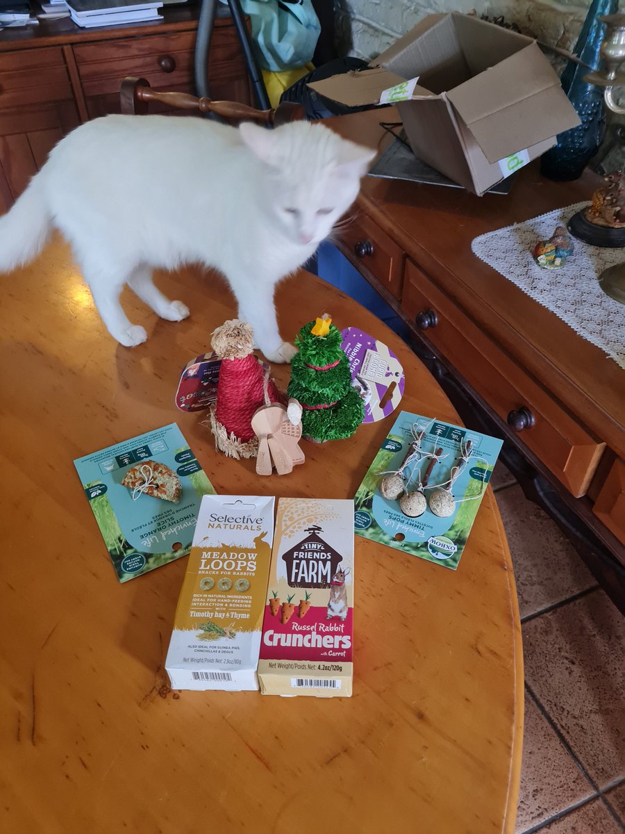 LAJ2801's tweet photo. @DorianGypsy We are such lucky buns, look what arrived last night #23bss ❤️ mum says we can't have all the treats at once 😫 but we're going to have so much fun. Will send more pics soon. That's Cleo, she was inspecting, but we let her know they're ours! Thank you so much pals ☺️ https://t.co/CtPeLNSpXt