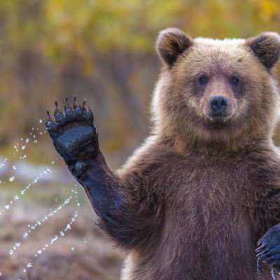 wayneg88's tweet photo. #NewProfilePic https://t.co/nkKnnVjCXh