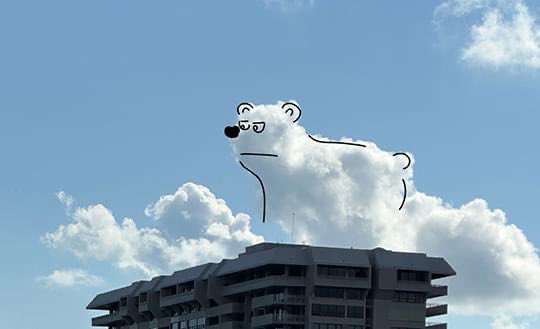cloudywithfaces's tweet image. Bear on the roof!
#roof #bear #clouds #sky