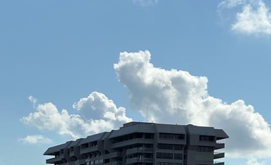 cloudywithfaces's tweet image. Bear on the roof!
#roof #bear #clouds #sky