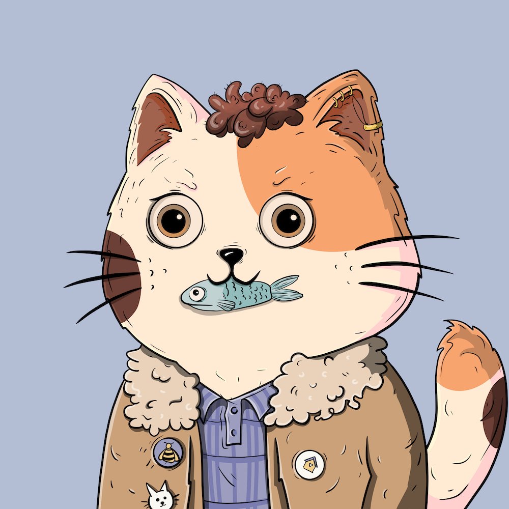 Mad Bears Club tweet media