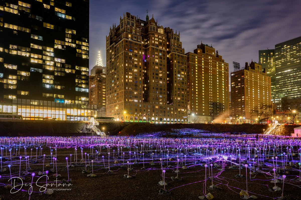 DezSantanaPhoto's tweet photo. Field of Light, NYC by Bruce Munro.
A magical field of 20,000 hand-crafted illuminated flower stems at Freedom Plaza in Midtown East.

@NYC @discovering_NYC   
#NYC #NewYork #Night #NikonCreators #FieldOfLight https://t.co/go4g5OmRfF